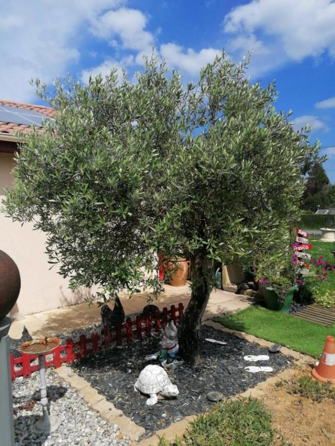 La Roulotte Des Trois Arbres Bed & Breakfast Oradour-sur-Glane Exterior foto