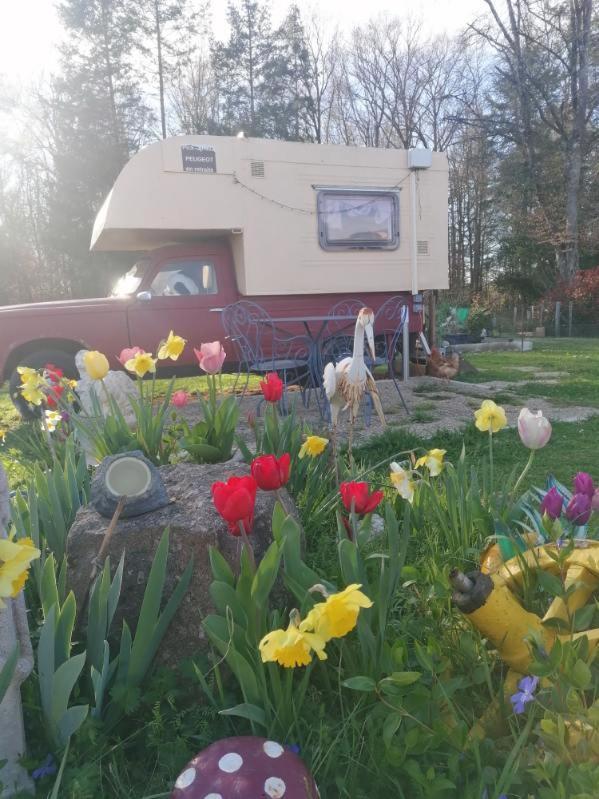 La Roulotte Des Trois Arbres Bed & Breakfast Oradour-sur-Glane Exterior foto